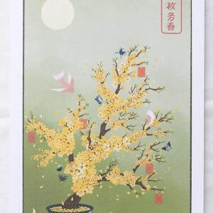 Illustration Fleurs d'abricotier