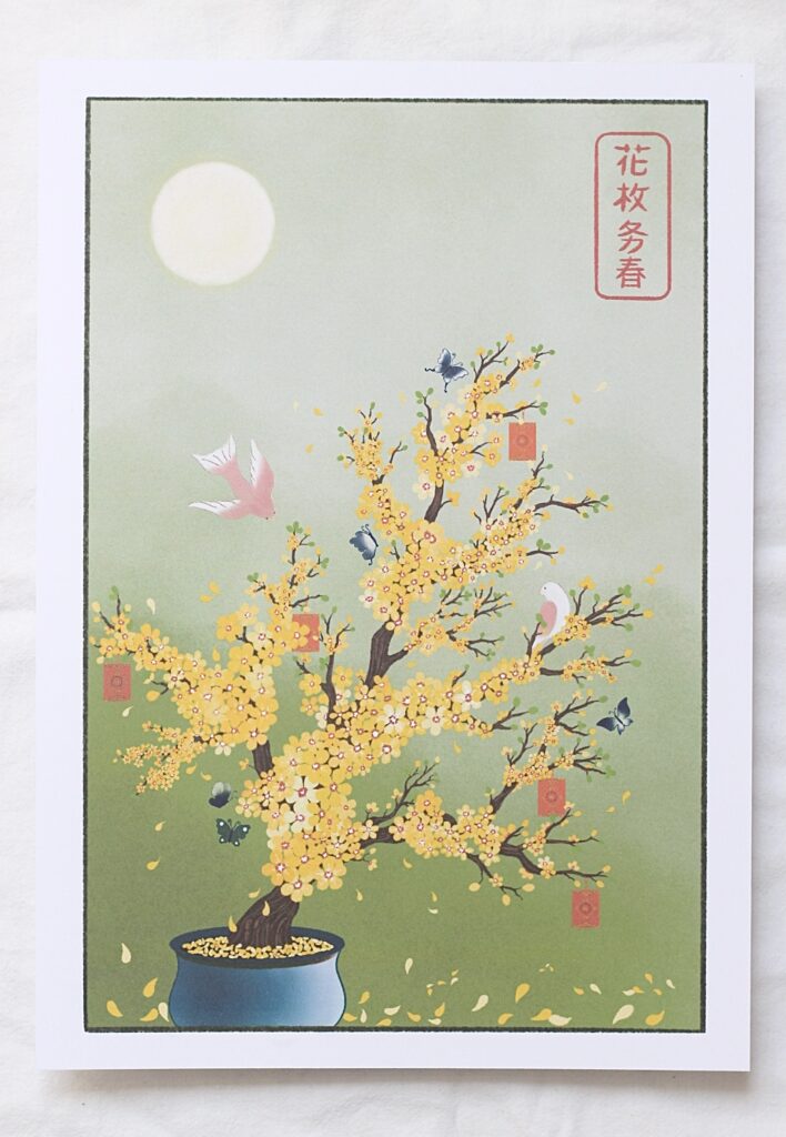 Illustration Fleurs d'abricotier
