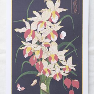 Illustration Orchidées