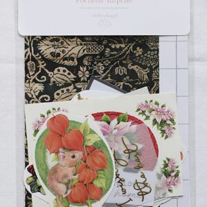 Pochette surprise scrapbooking #17