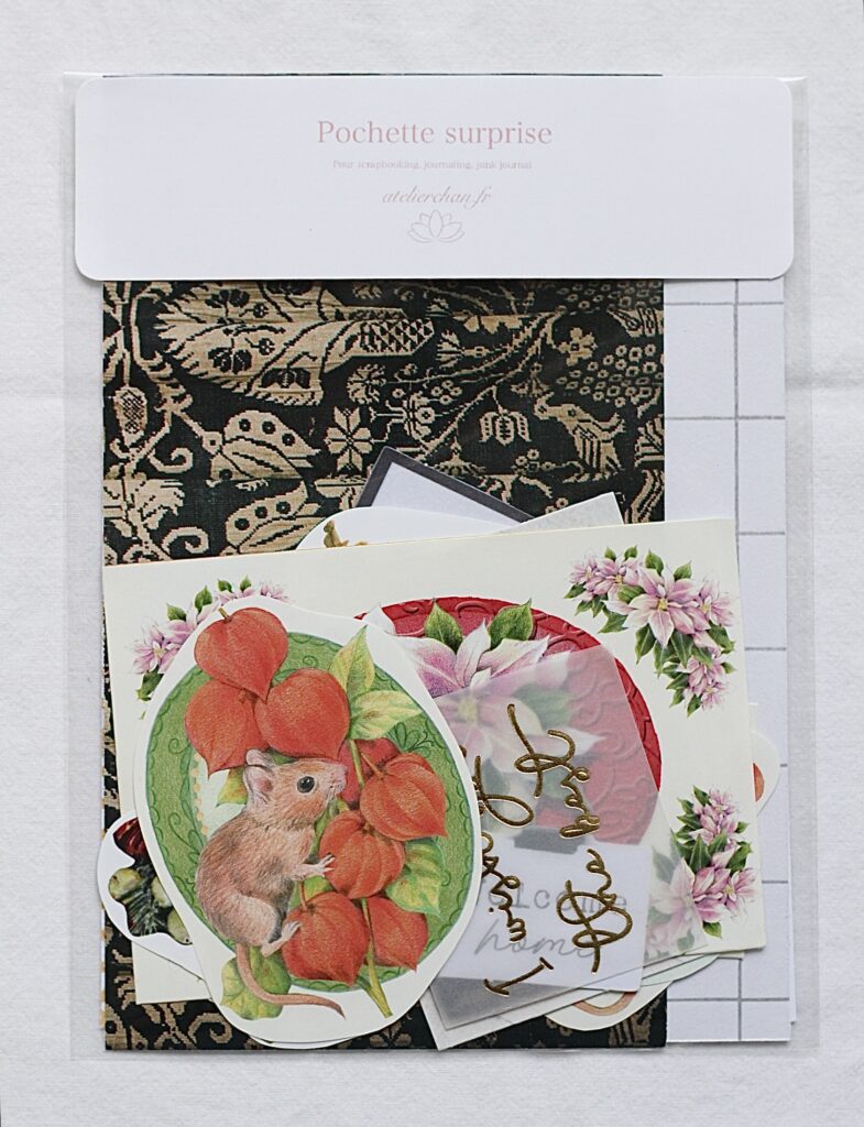 Pochette surprise scrapbooking #17