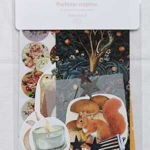 Pochette surprise scrapbooking #19
