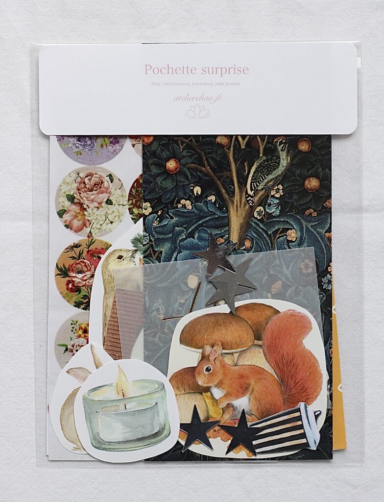 Pochette surprise scrapbooking #19