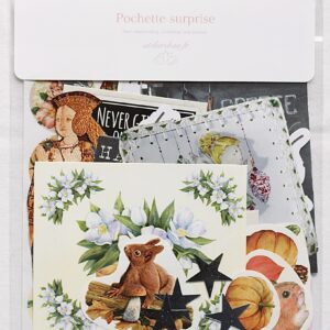 Pochette surprise scrapbooking #34