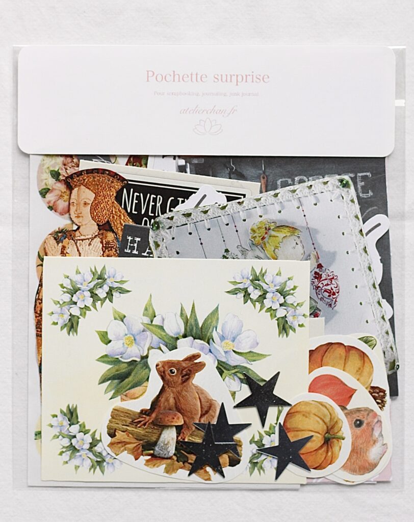 Pochette surprise scrapbooking #34
