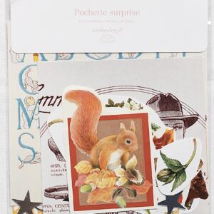 Pochette surprise scrapbooking #35