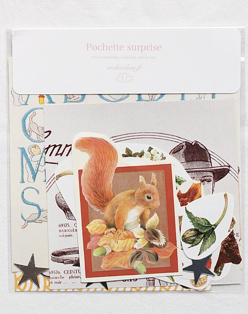 Pochette surprise scrapbooking #35