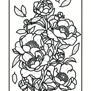 Coloriage pivoines flamboyantes